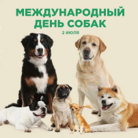 Развлечение Развлечение.